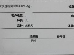 -美联众合动物医院·24h京西诊疗中心