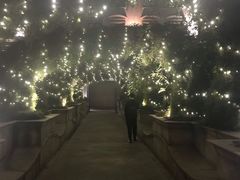 大堂-伯衡55·吉品轩(乌鲁木齐南路店)