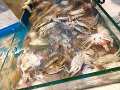 -川骄海鲜自助(河东店)