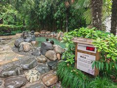 -张家港金凤凰度假村温泉