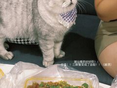 -车头老二大排档