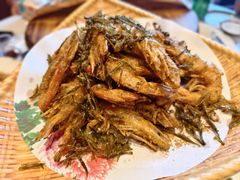 -老李家土菜馆·安吉地标美食