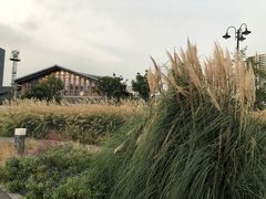 -秦皇岛路游船码头