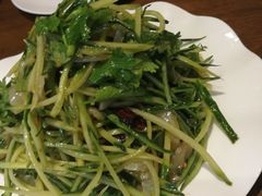 -松月湖大酒店