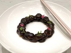 -丁老爷子苏香圆