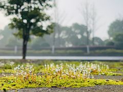 -尚贤河湿地