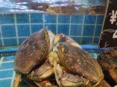 -阿娘家·原生态农家菜(国顺东路店)