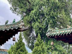 -报恩寺(平武县)