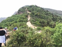 -灵岩山风景区