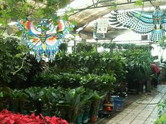 -明珠平价超市(南昌路店)