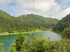 -武陵山森林公园