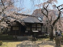 -醍醐寺