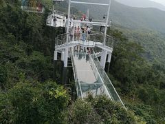 -亚龙湾热带天堂森林公园