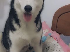 -六爷门框百年卤煮