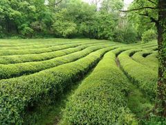 -敬亭山风景名胜区