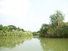 -南湖湿地公园