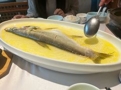 鸡汤清蒸白鱼-森隆饭庄(崇文门新世界百货店)