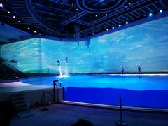 -上海海昌海洋公园-停车场
