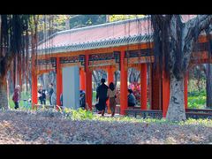 -顺峰山公园