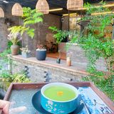 🌷与绿色双皮奶相逢🌷