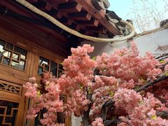 -丽江庭院之爱在路上(西单店)