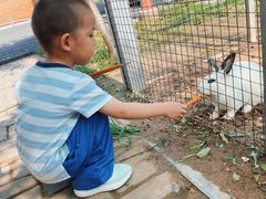 -意大利农场度假村