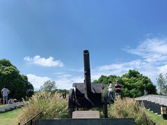 -上海吴淞炮台湾国家湿地公园