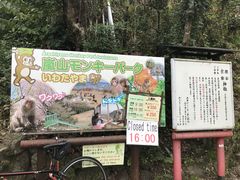 -岚山猴子公园