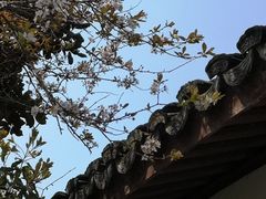 -西湖天地