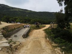 -大姆山草场