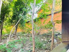 -青州市云门山风景区