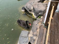 -上海怡沁园度假酒店