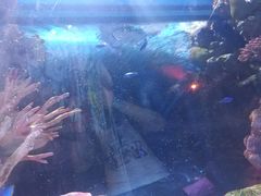 -暹罗海洋世界