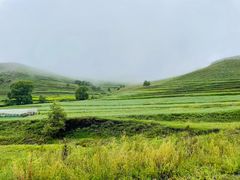 -草原天路(张北县)
