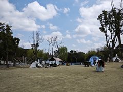 -新江湾城公园