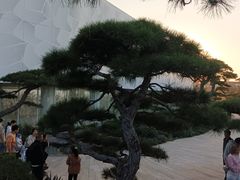 -罗红摄影艺术馆