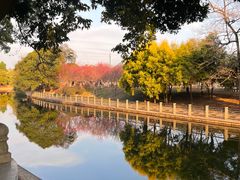 -南溪山景区