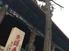 -煎饼卷大葱(春秋西路店)