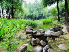-陈家山荷花公园