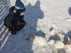 -绿野森林乐园冰雪季
