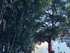-广州市流溪河国家森林公园