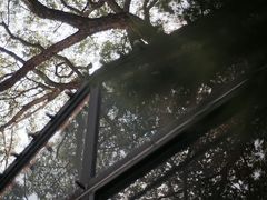 -Cheevit Cheeva(Sirimangkalajarn)