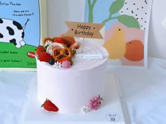 -蜜肆动物奶油蛋糕·个性定制·下午茶甜品