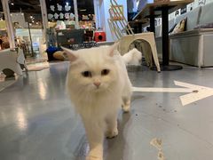 -小时光咖啡馆(开森度假森林店)
