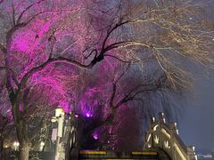 -济南大明湖景区