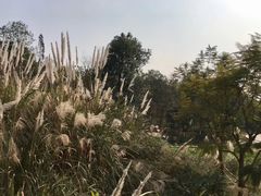 -桤木河湿地公园