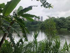 -重庆彩云湖湿地公园