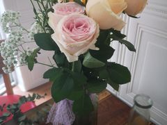 -漫生活烘焙·无糖蛋糕·动物奶油