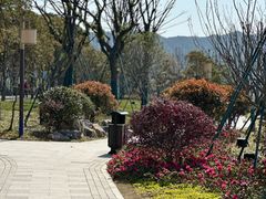 -东钱湖小普陀景区