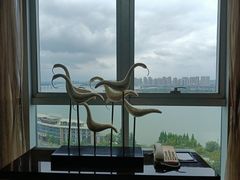 -东旭阳光国际大酒店